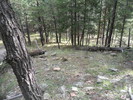 photo thumbnail #15