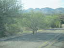photo thumbnail #4