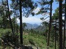 photo thumbnail #10