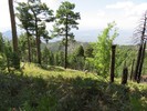 photo thumbnail #11