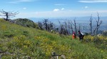photo thumbnail #2