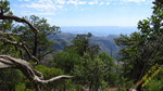 photo thumbnail #11