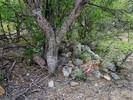 photo thumbnail #6