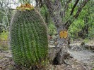 photo thumbnail #14