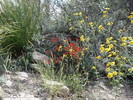 photo thumbnail #1