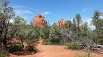 photo thumbnail #3