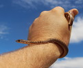photo thumbnail #9