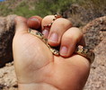 photo thumbnail #10
