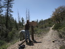 photo thumbnail #2