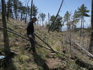 photo thumbnail #4
