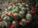photo thumbnail #6
