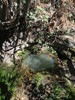 photo thumbnail #15