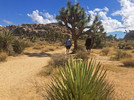 photo thumbnail #2