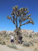 photo thumbnail #4