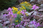 photo thumbnail #5