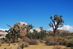 photo thumbnail #2