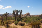 photo thumbnail #8