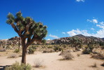 photo thumbnail #9