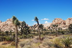 photo thumbnail #10