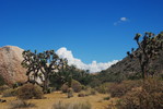 photo thumbnail #12