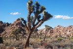 photo thumbnail #3