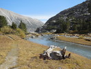 photo thumbnail #10