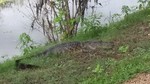 2015-09-03 :2: Elm Lake Loop Trail :: SunDevil3