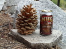 photo thumbnail #6