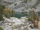 photo thumbnail #14