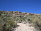 photo thumbnail #1