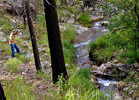 photo thumbnail #6