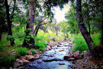 photo thumbnail #13