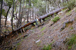 photo thumbnail #9