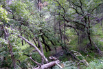 photo thumbnail #10
