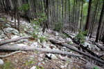 photo thumbnail #14