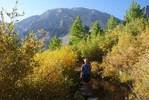 photo thumbnail #4