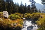 photo thumbnail #9