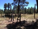 photo thumbnail #11