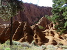 photo thumbnail #4