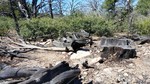photo thumbnail #6