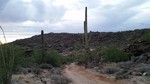 photo thumbnail #9