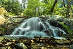 photo thumbnail #4