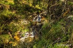 photo thumbnail #13
