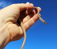 photo thumbnail #1