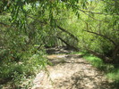 photo thumbnail #6