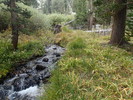 photo thumbnail #11