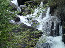 photo thumbnail #15