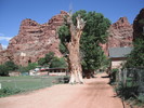 photo thumbnail #9