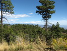 photo thumbnail #6