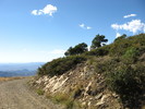 photo thumbnail #15